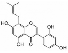 中藥標(biāo)準(zhǔn)品