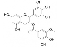 中藥標(biāo)準(zhǔn)品