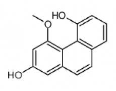 中藥標(biāo)準(zhǔn)品