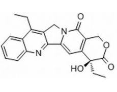 中藥標(biāo)準(zhǔn)品