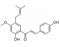 中藥標(biāo)準(zhǔn)品