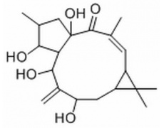 中藥標(biāo)準(zhǔn)品