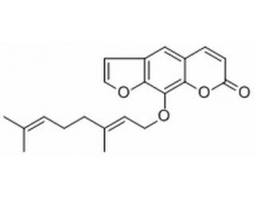 中藥標(biāo)準(zhǔn)品