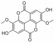 中藥標(biāo)準(zhǔn)品