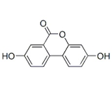 中藥標(biāo)準(zhǔn)品