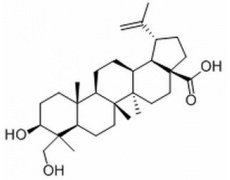 中藥標(biāo)準(zhǔn)品