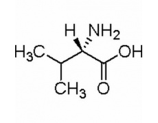 中藥標(biāo)準(zhǔn)品