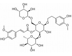 中藥標(biāo)準(zhǔn)品