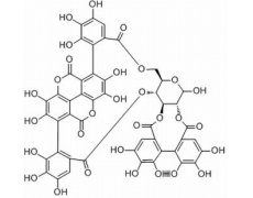 中藥標(biāo)準(zhǔn)品