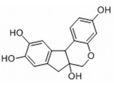 中藥標(biāo)準(zhǔn)品