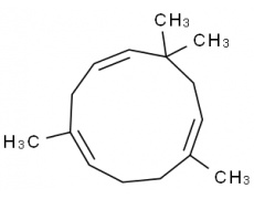 中藥標(biāo)準(zhǔn)品