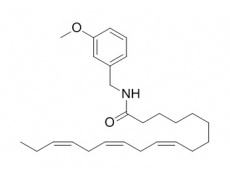 中藥標(biāo)準(zhǔn)品