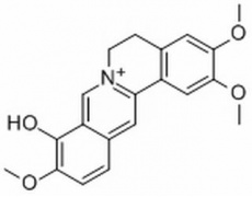 中藥標(biāo)準(zhǔn)品