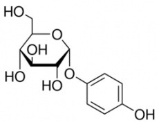 中藥標(biāo)準(zhǔn)品
