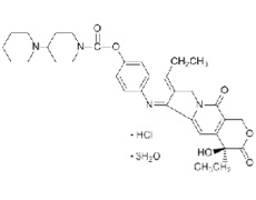 中藥標(biāo)準(zhǔn)品