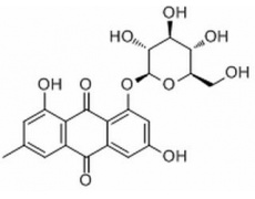 中藥標(biāo)準(zhǔn)品