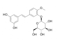 中藥標(biāo)準(zhǔn)品