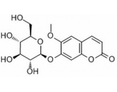 中藥標(biāo)準(zhǔn)品