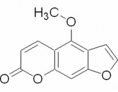 中藥標(biāo)準(zhǔn)品