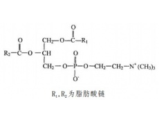 中藥標(biāo)準(zhǔn)品