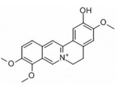 中藥標(biāo)準(zhǔn)品