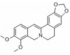 中藥標(biāo)準(zhǔn)品