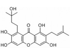 中藥標(biāo)準(zhǔn)品