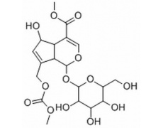 中藥標(biāo)準(zhǔn)品