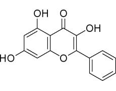 中藥標(biāo)準(zhǔn)品