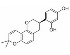中藥標(biāo)準(zhǔn)品