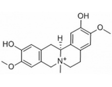 中藥標(biāo)準(zhǔn)品