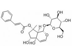 中藥標(biāo)準(zhǔn)品