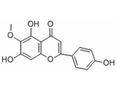 中藥標(biāo)準(zhǔn)品