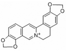 中藥標(biāo)準(zhǔn)品