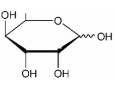 碳水化合物類(lèi)