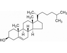 碳水化合物類