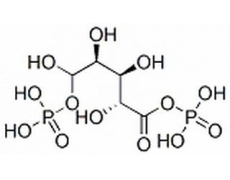 碳水化合物類(lèi)
