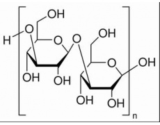 碳水化合物類(lèi)