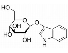 碳水化合物類(lèi)
