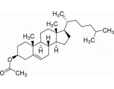 碳水化合物類