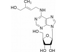 植物激素及核酸類