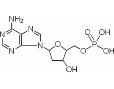 植物激素及核酸類(lèi)