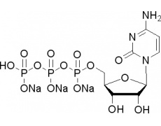 植物激素及核酸類
