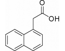 植物激素及核酸類