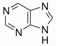 植物激素及核酸類