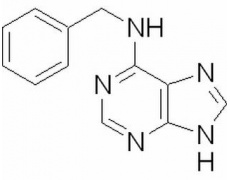 植物激素及核酸類