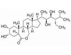 植物激素及核酸類