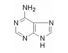 植物激素及核酸類