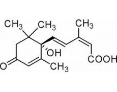 植物激素及核酸類