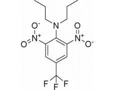 植物激素及核酸類